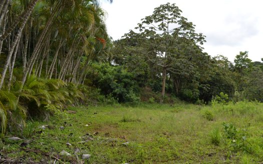 Venta de lote listo para construir en Palmares