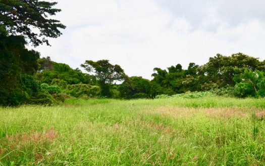 Venta de Lote en Residencial San Roque de Barva, 1833 m2