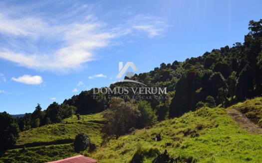 Venta de Finca en Copey de Dota Con 5 Nacientes de Agua