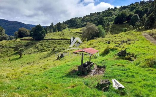 Venta de Finca en Copey de Dota Con 5 Nacientes de Agua