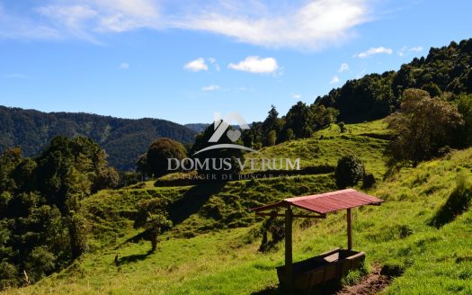 Venta de Finca en Copey de Dota Con 5 Nacientes de Agua