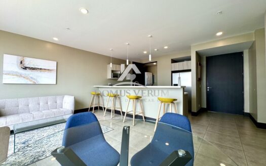 Apartamento de 1 Habitación en Alquiler en Nunciatura