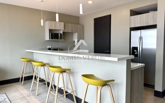 Apartamento de 1 Habitación en Alquiler en Nunciatura